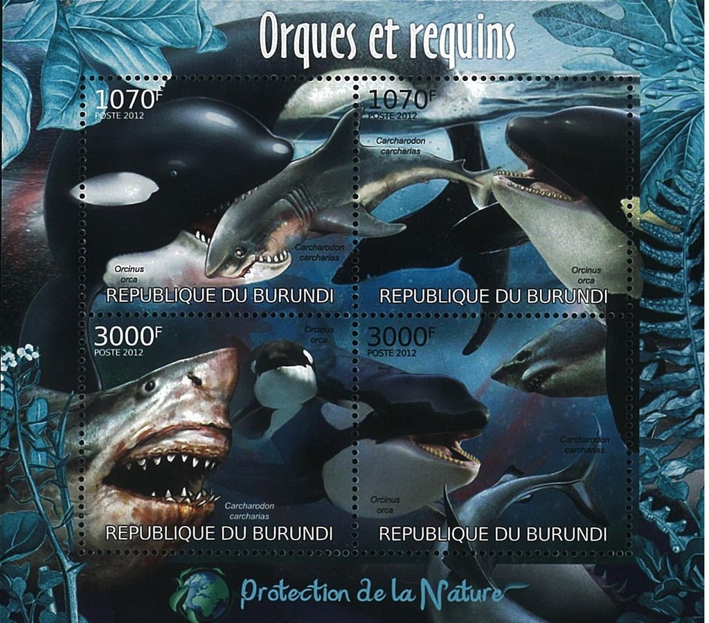 Orcinus Orca