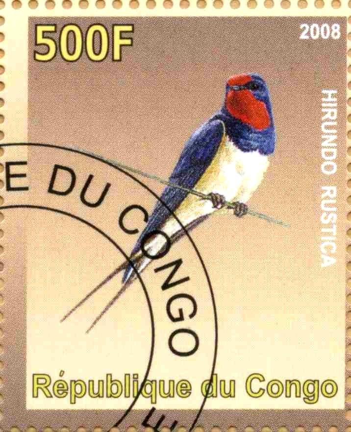 Hirundo Rustica