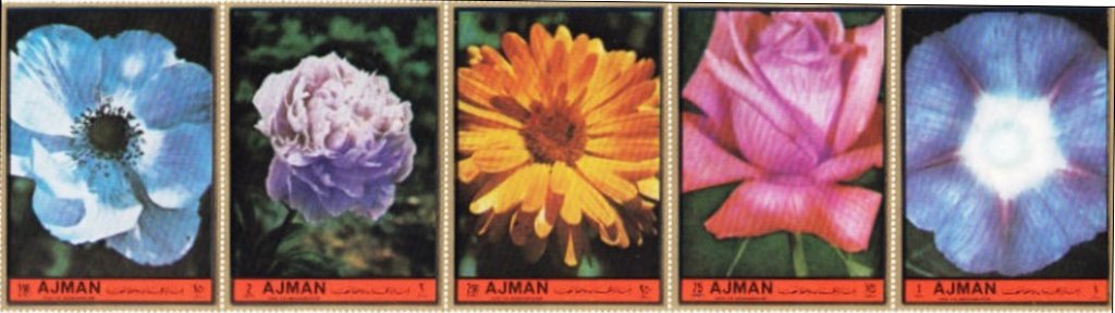 Stamp, Field Flowers strip, Ajman,  , Flowers