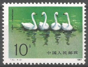 Stamp, Cygnus columbianus, China, People's Republic,  , Animals (Fauna), Birds, Swans