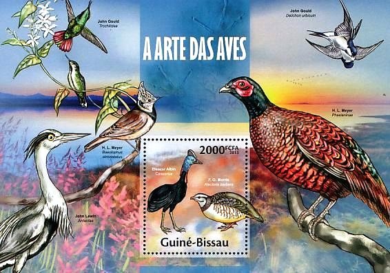 Southern Cassowary (Casuarius casuarius), Barbary Partridge 