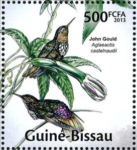 Stamp, White-tufted Sunbeam (Aglaeactis castelnaudii), Guinea-Bissau,  , Animals (Fauna), Birds, Hummingbirds, Plants (Flora)