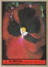 Stamp, Violet, Ajman,  , Flowers