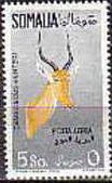 Hirola (Damaliscus hunteri) 