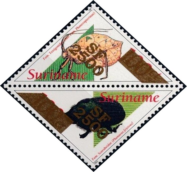 Cycloptera cycloptera & Phanaeus festivus (Overprinted)