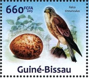 Stamp, Common Kestrel (Falco tinnunculus), Guinea-Bissau,  , Animals (Fauna), Birds, Birds of Prey, Eggs, Falcons