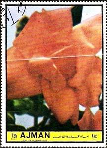 Stamp, Hebo, Ajman,  , Flowers, Roses
