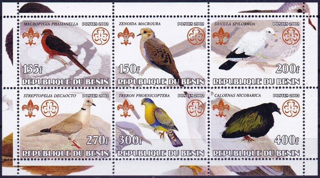 Various Pigeons