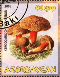 Stamp, Xerocomus Chrysenteron, Cinderellas,  , Mushrooms