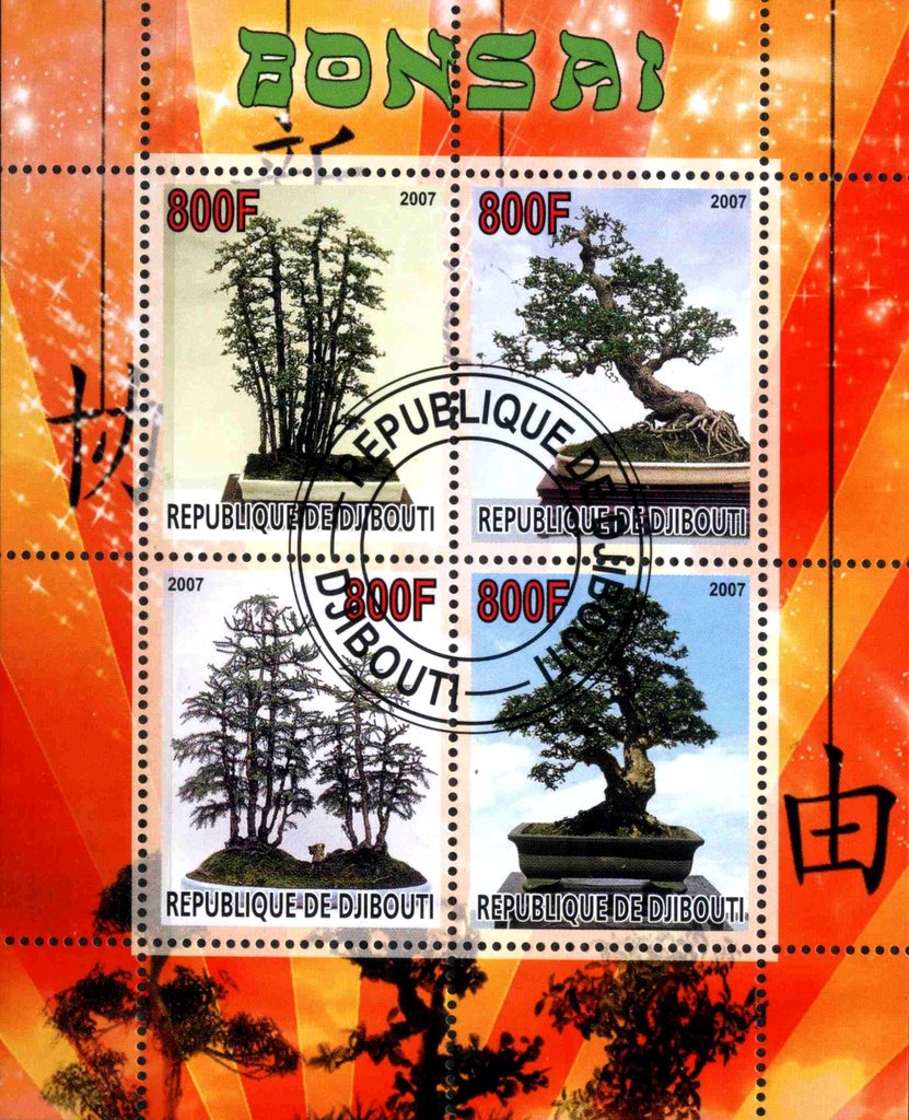 Bonsai
