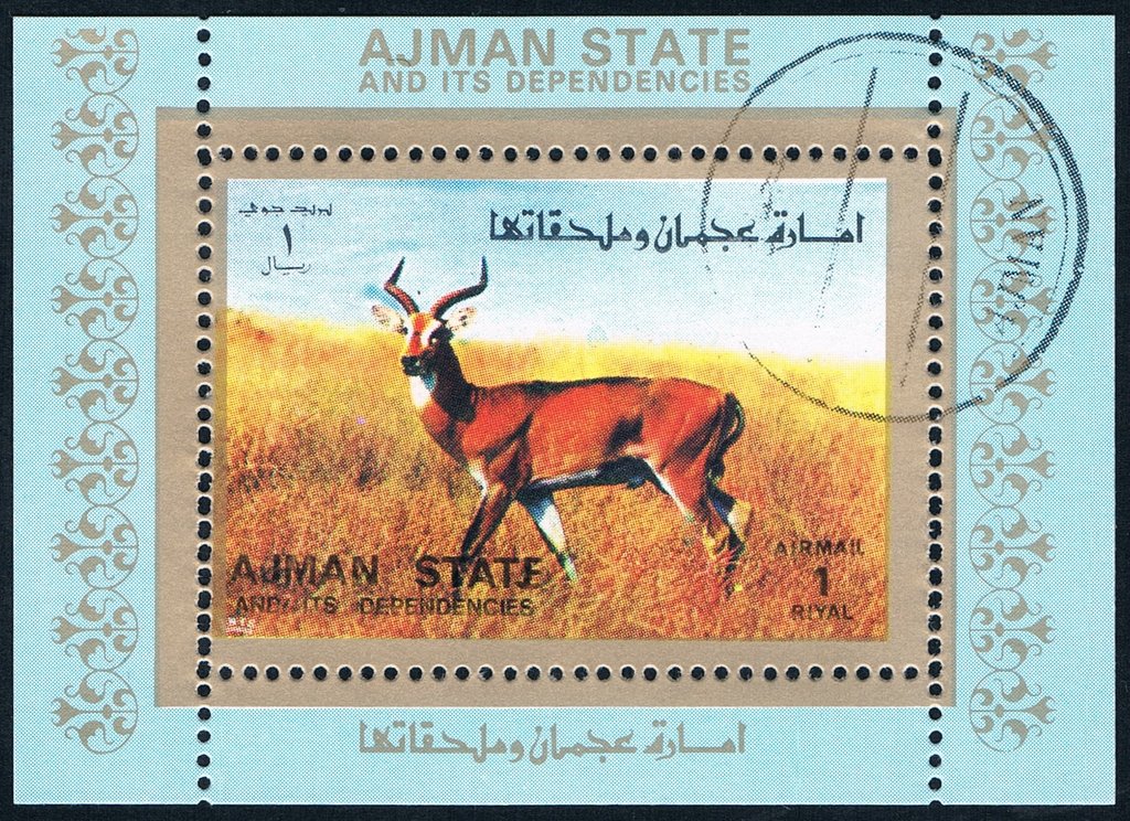 Animal