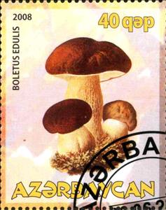 Stamp, Boletus Edulis, Cinderellas,  , Mushrooms