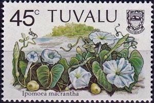 Stamp, Ipomoea macrantha, Tuvalu,  , Flowers, Plants (Flora)