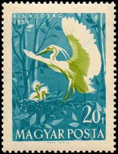 Stamp, Little Egret (Egretta garzetta), Hungary,  , Birds, Animals (Fauna), Herons