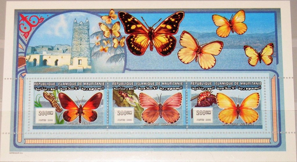 Butterflies