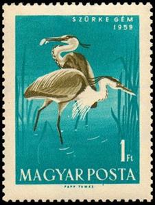 Stamp, Grey Heron (Ardea cinerea), Hungary,  , Birds, Animals (Fauna), Herons