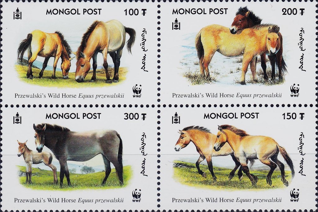 Horses