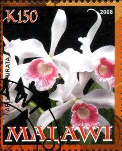 Stamp, Orchids, Cinderellas,  , Orchids