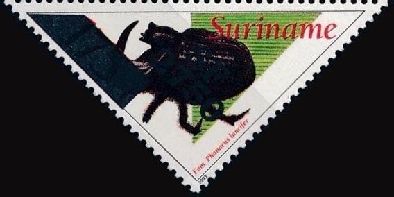 Phanaeus lancifer (Overprinted)