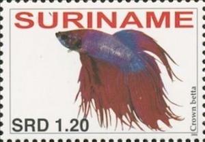 Stamp, Betta splendens, Suriname,  , Fishes