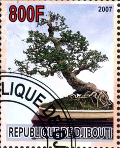 Stamp, Bonsai, Cinderellas,  , Trees