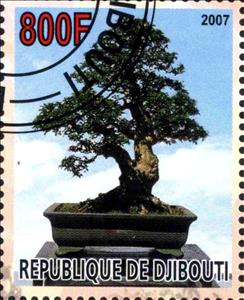 Stamp, Bonsai, Cinderellas,  , Trees