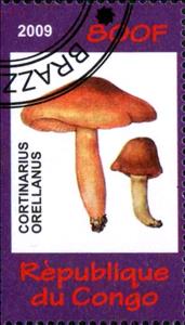 Stamp, Cortinarius Orellanus, Cinderellas,  , Mushrooms