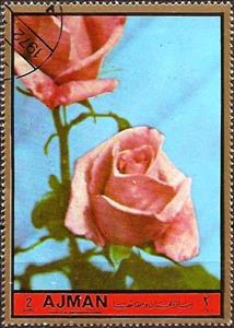 Stamp, Lilac time, Ajman,  , Flowers, Roses