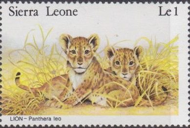 Lions.