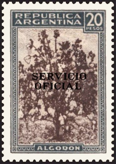 Cotton, ovpt.