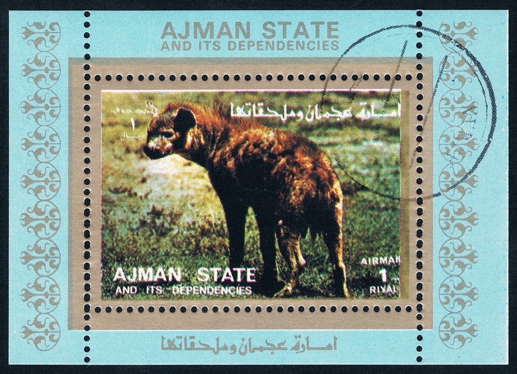 Animal