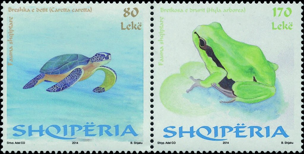 Reptiles and Amphibians