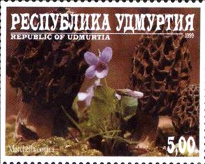 Stamp, Morchella conica, Cinderellas,  , Mushrooms