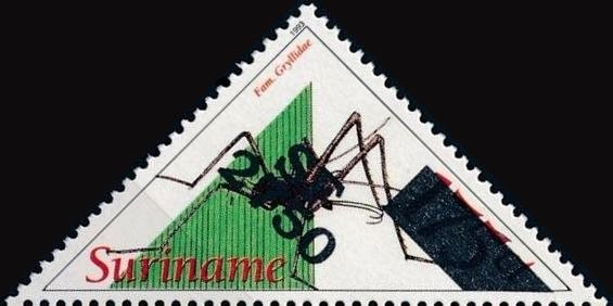 Gryllidae (Overprinted)