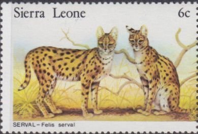 Stamp, Servals, Sierra Leone,  , Animals (Fauna), Mammals