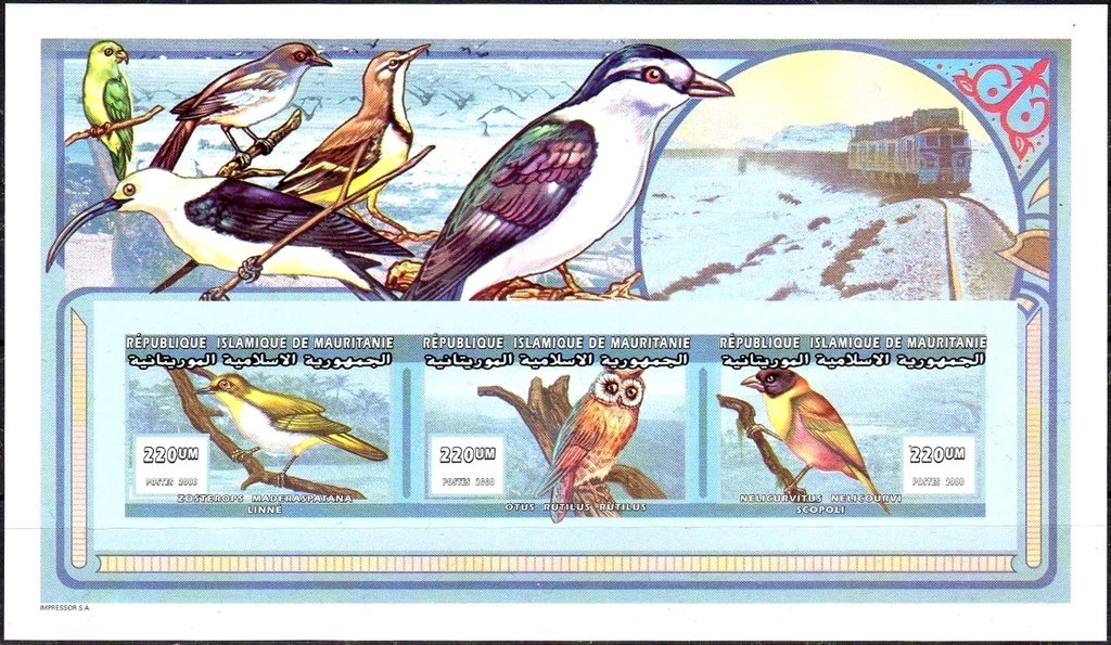 Birds