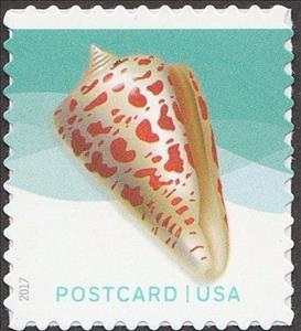 Stamp, Alphabet cone seashell - pane, United States of America,  , Animals (Fauna), Molluscs, Sea Life, Shells