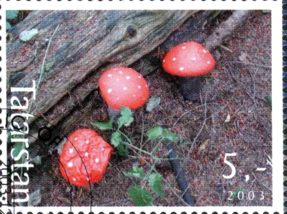 Mushrooms
