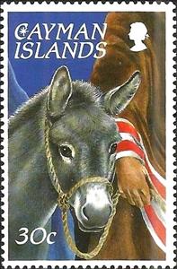 Stamp, Donkey (Equus asinus asinus), Cayman Islands,  , Animals (Fauna), Donkeys, Mammals