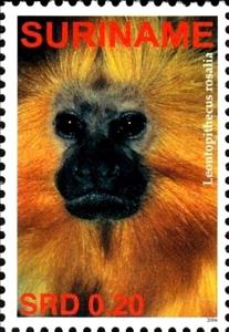 Stamp, Leontopithecus rosalia, Suriname,  , Monkeys