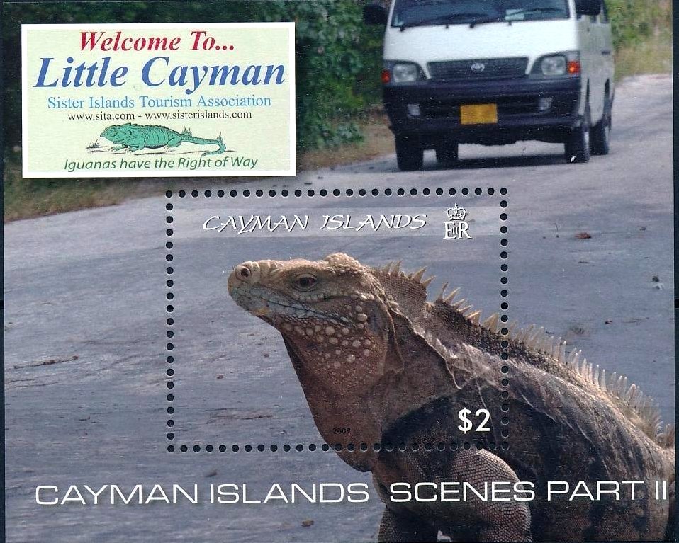 Blue Iguana (Cyclura nubila lewisi)