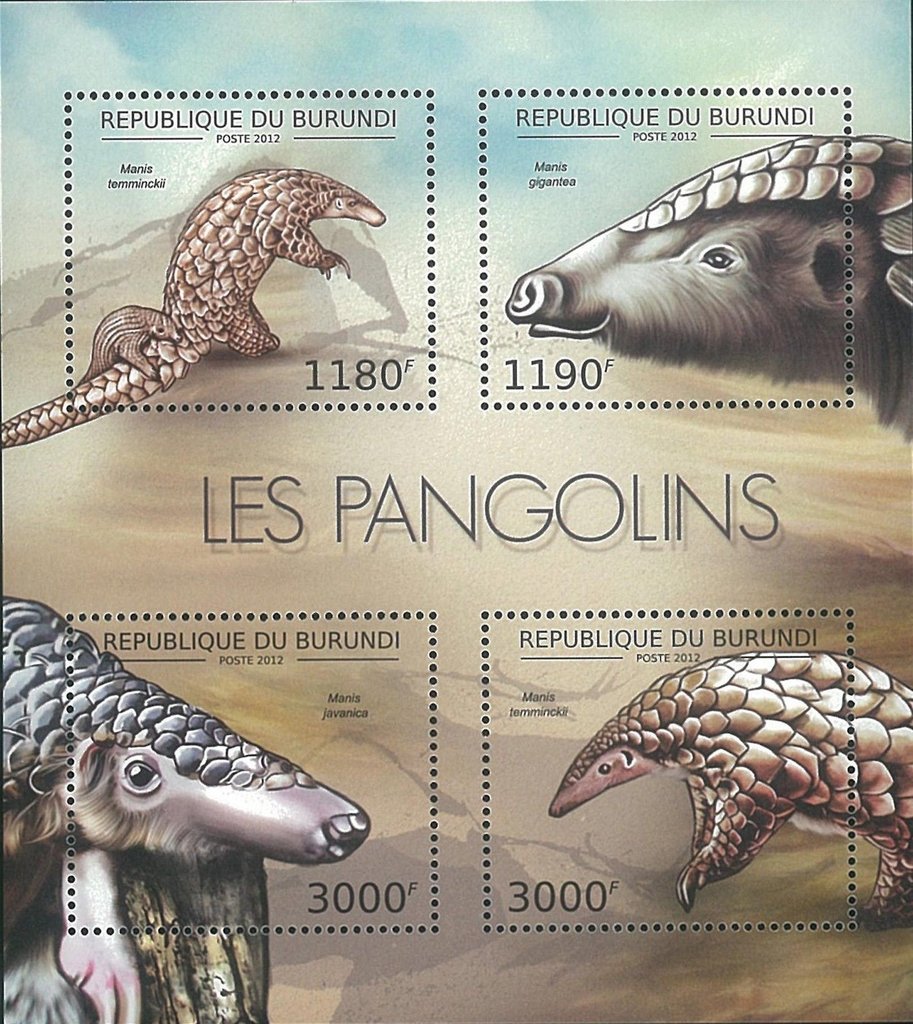 Pangolines