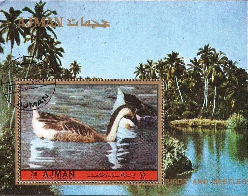 Ducks