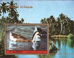 Souvenir Sheet, Ducks, Ajman,  , Birds, Ducks