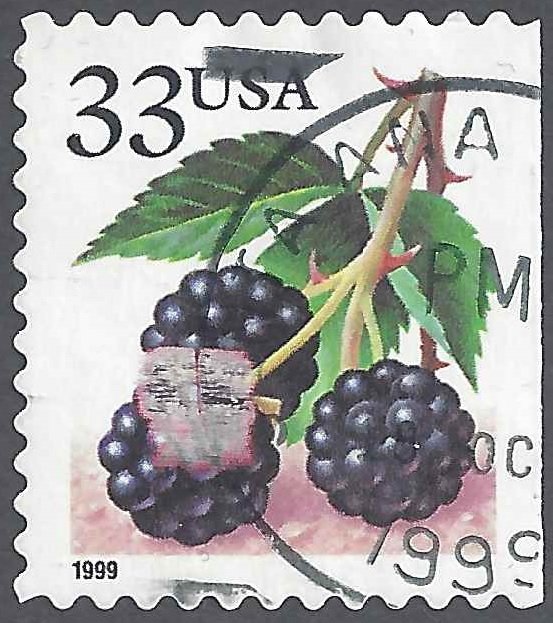 Fruit Berries: Blueberries