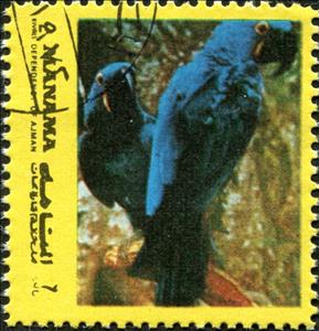 Stamp, Hyacinth Macaw (Anodorhynchus hyacinthinus), Manama,  , Animals (Fauna), Birds, Parrots