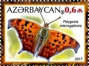 Stamp, Polygonia interrogationis, Cinderellas,  , Butterflies