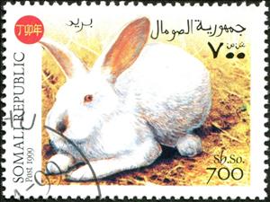 Stamp, Rabbits, Cinderellas,  , Animals (Fauna), Mammals, Rabbits