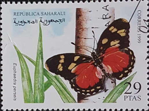 Euphaedra Perseis