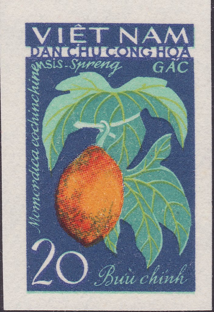 Balm Cucumber (momordica Cochinchinensis)